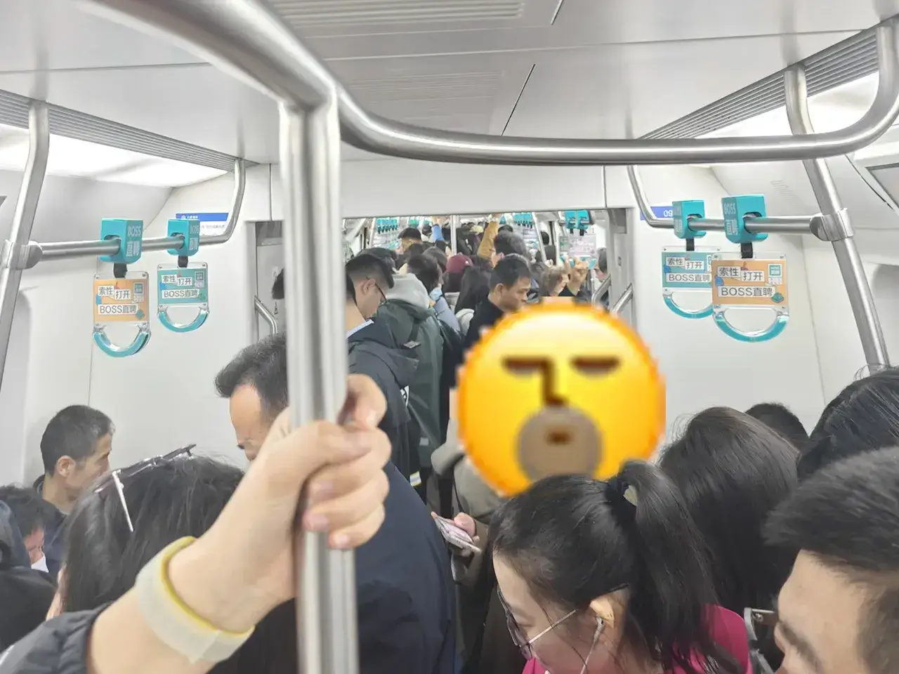 牛马的生活