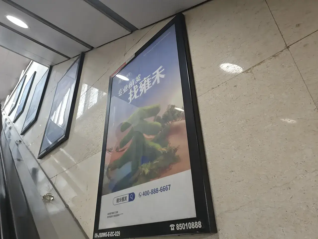 雍禾植发