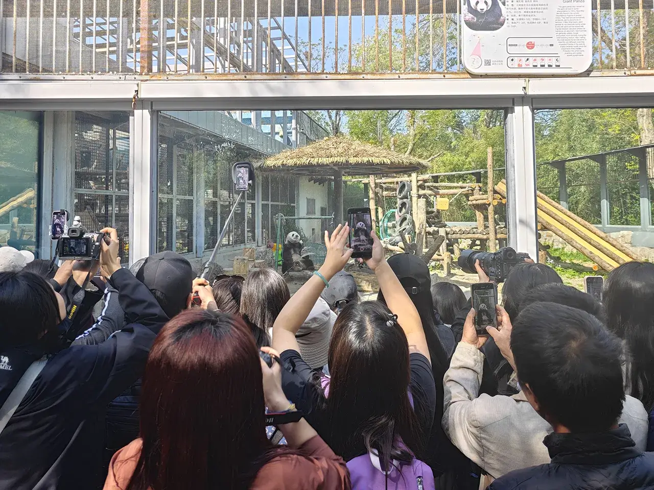 西直门三太子