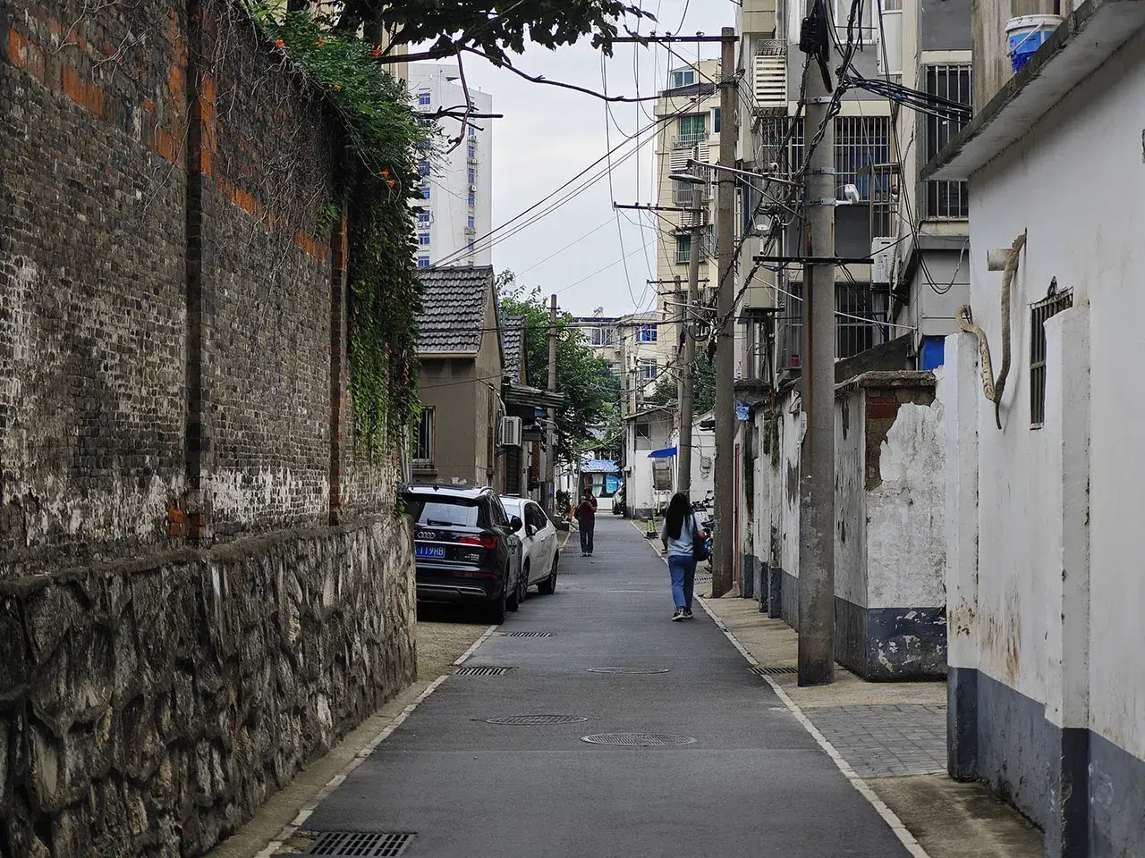 真 · 寻常巷陌