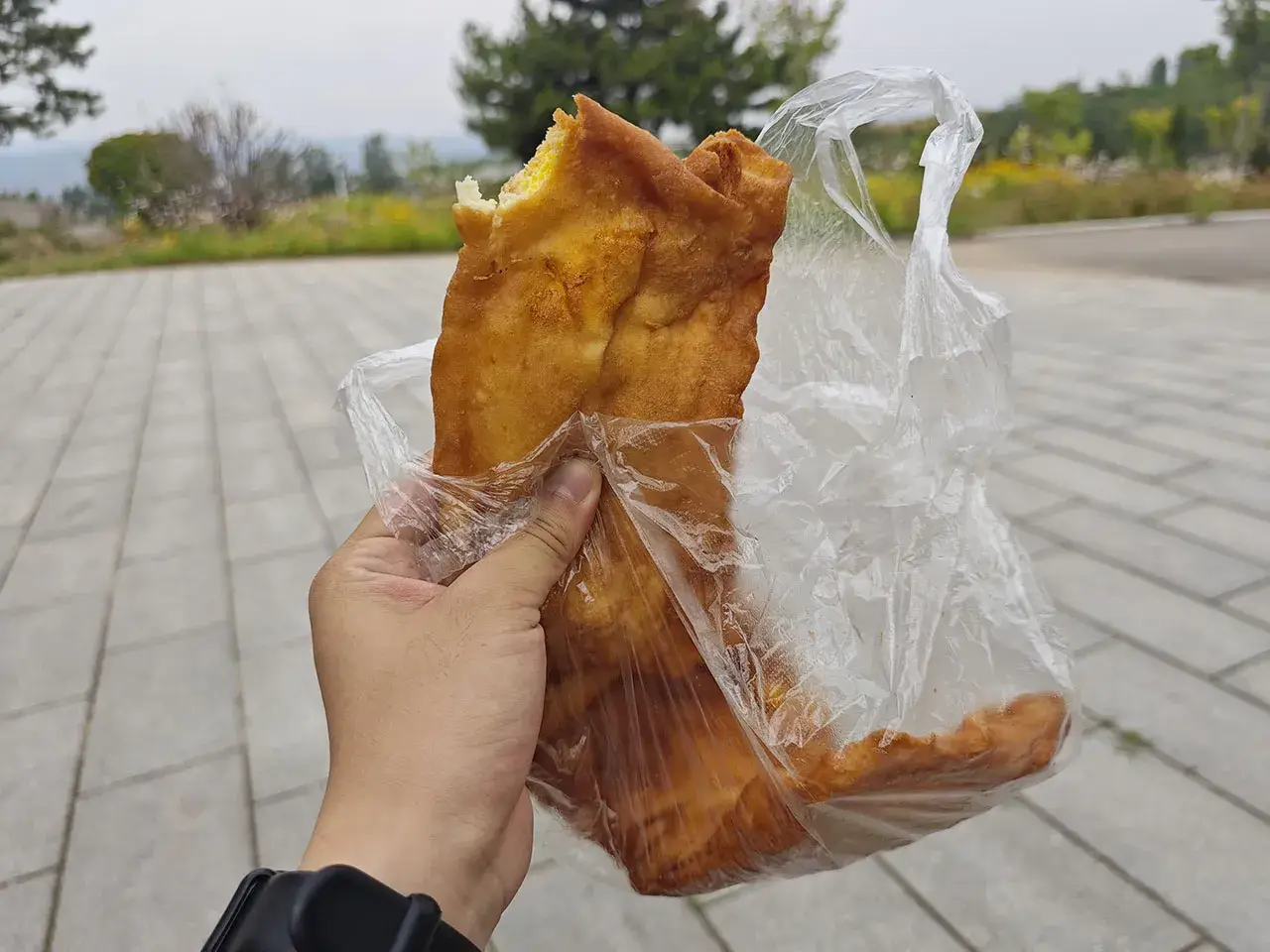 布袋
