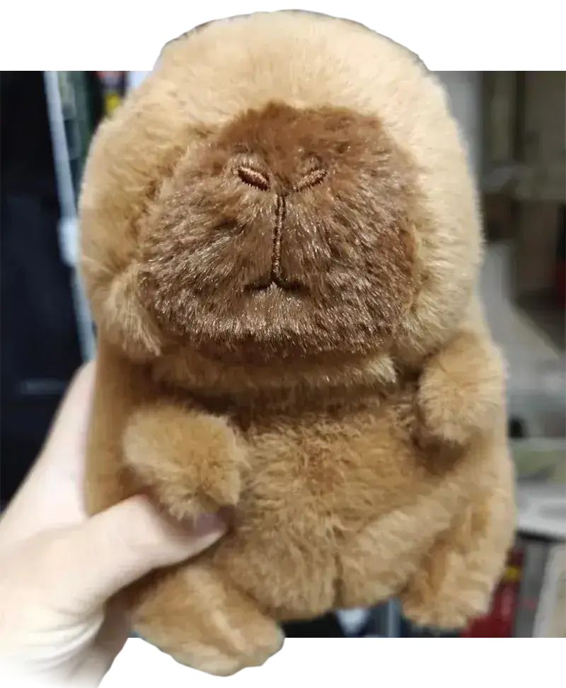 pro 哥牛逼!