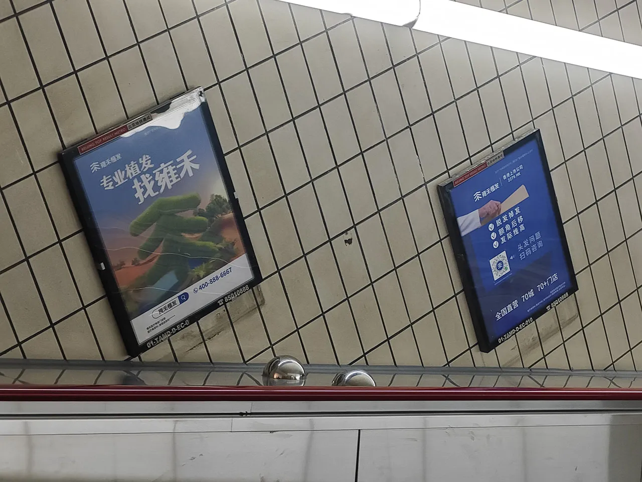 快跑啊!