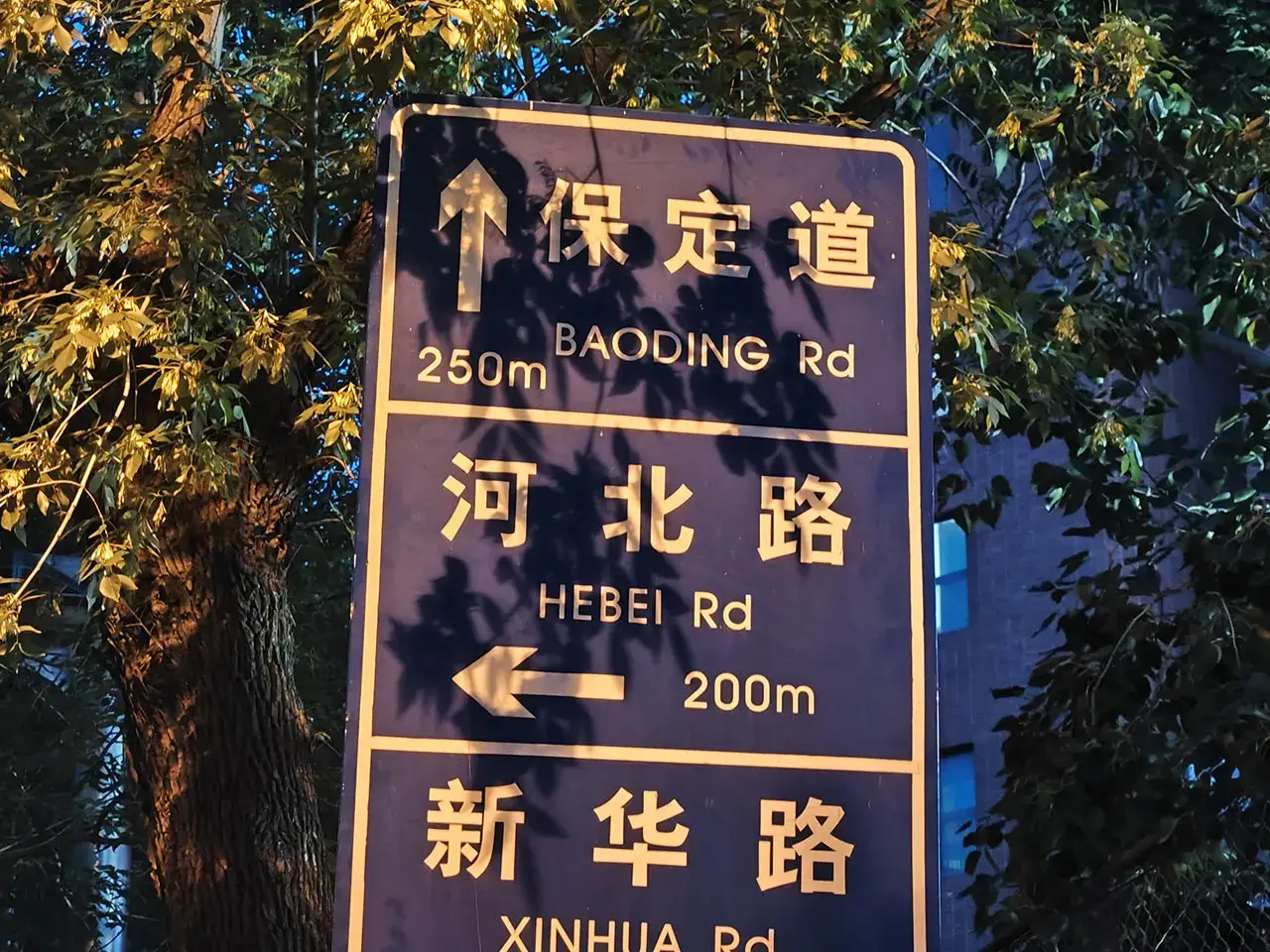 保定道