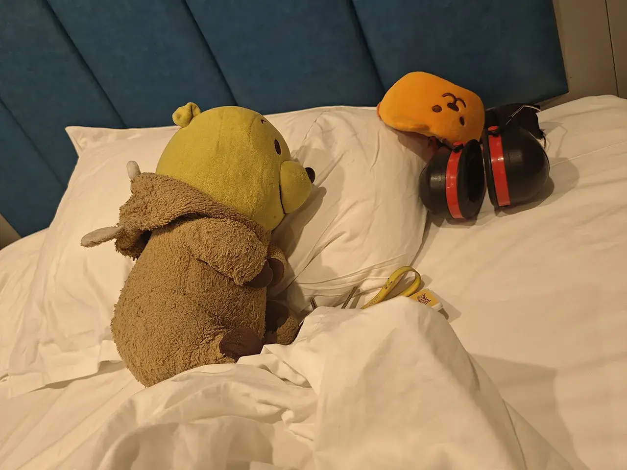 躺!