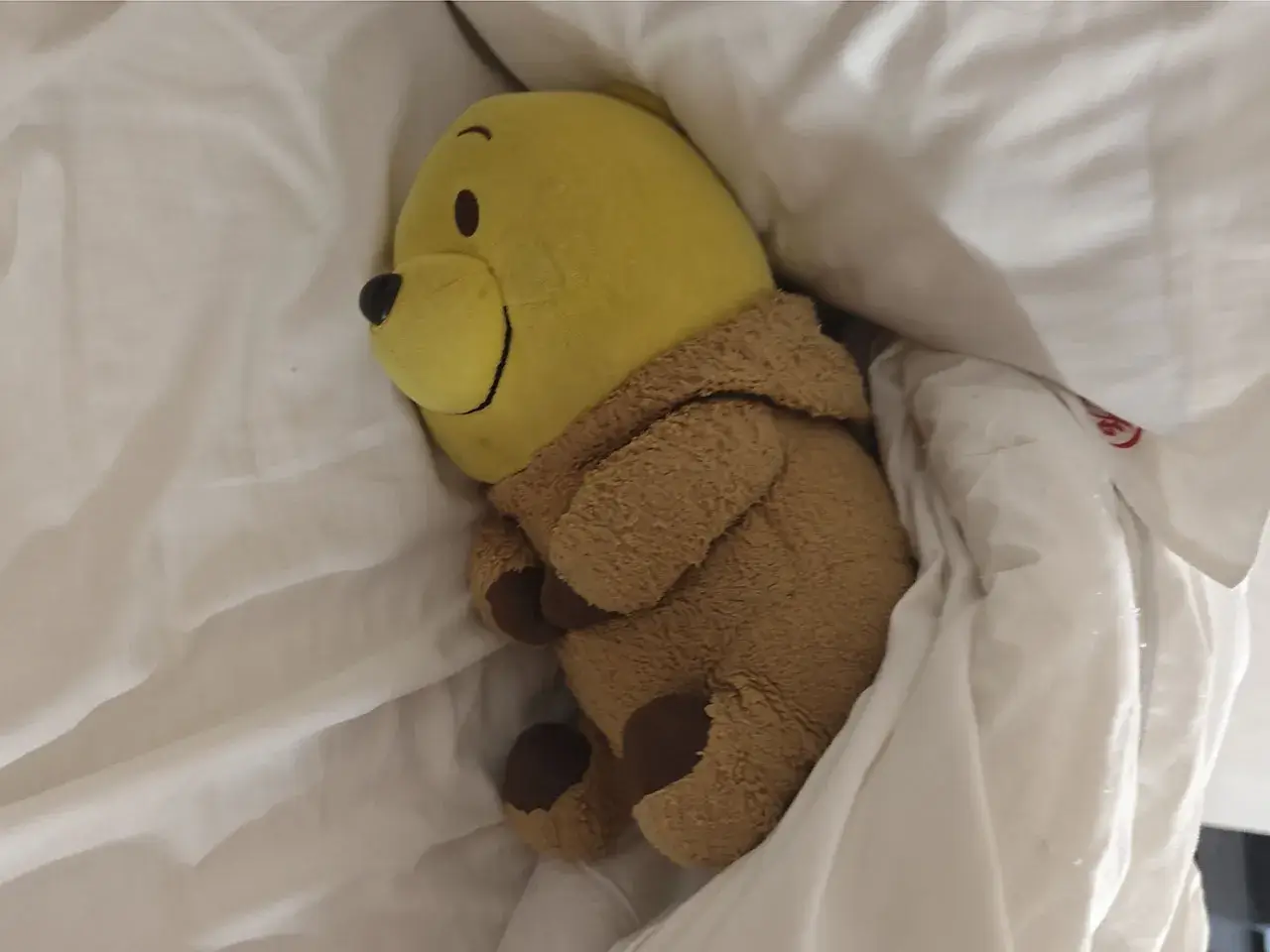 躺!