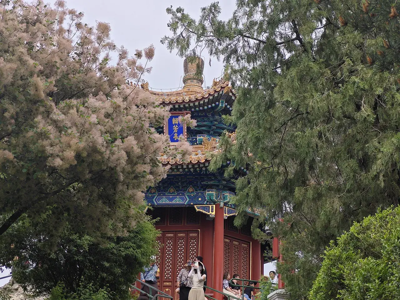 辑芳亭