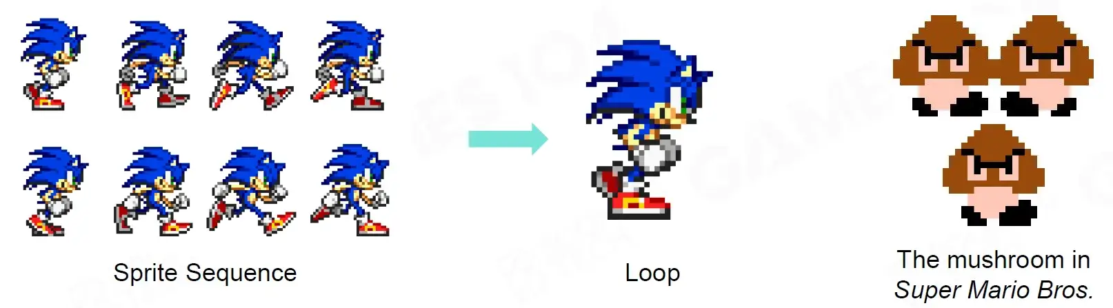 webp