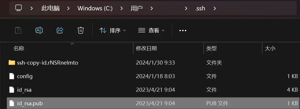 id_rsa.pub