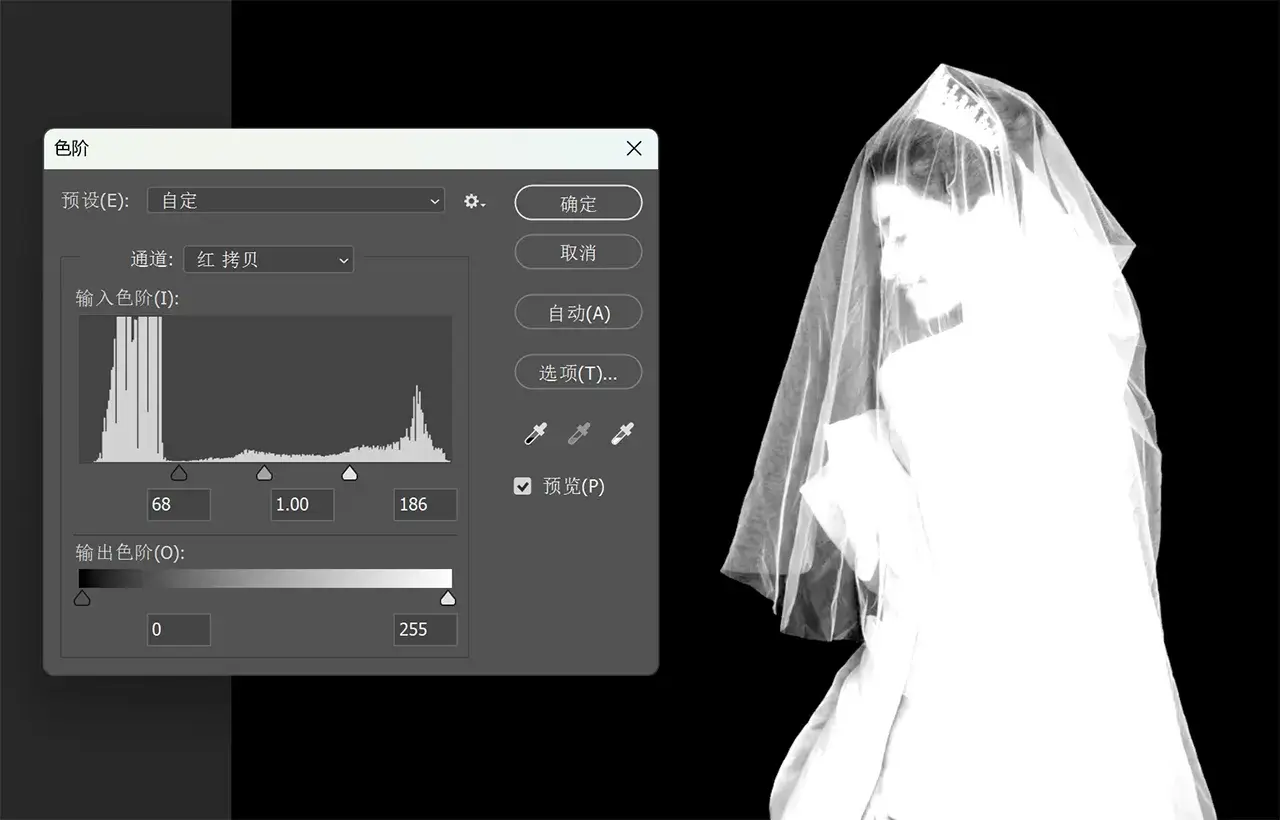 webp